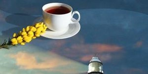 Agullhas Honeybush tea
